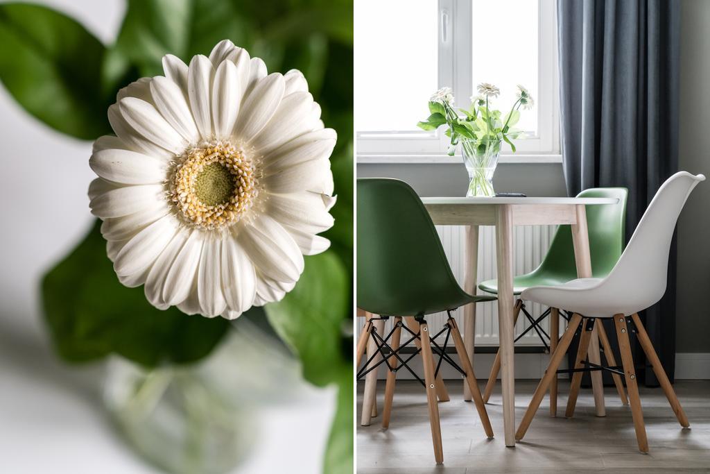 Sanhaus Apartments - Chopina 13 - Apartamenty W Centrum, 5 Minut Od Plazy I Deptaka Sopot Eksteriør billede
